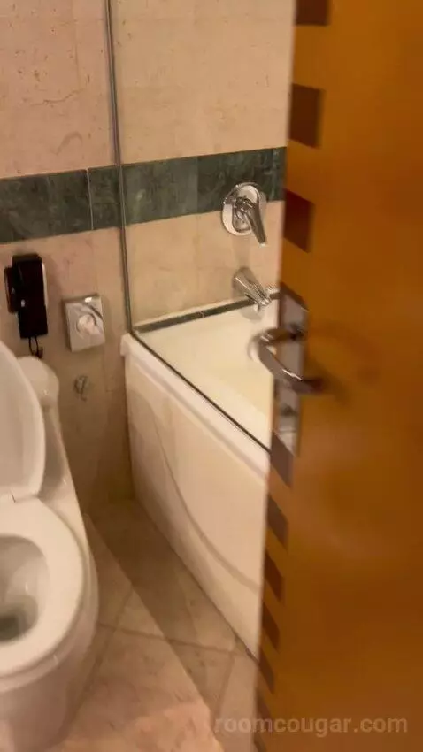 Deluxe Queen Room with Two Queen Beds (#366) bathroom picture #1