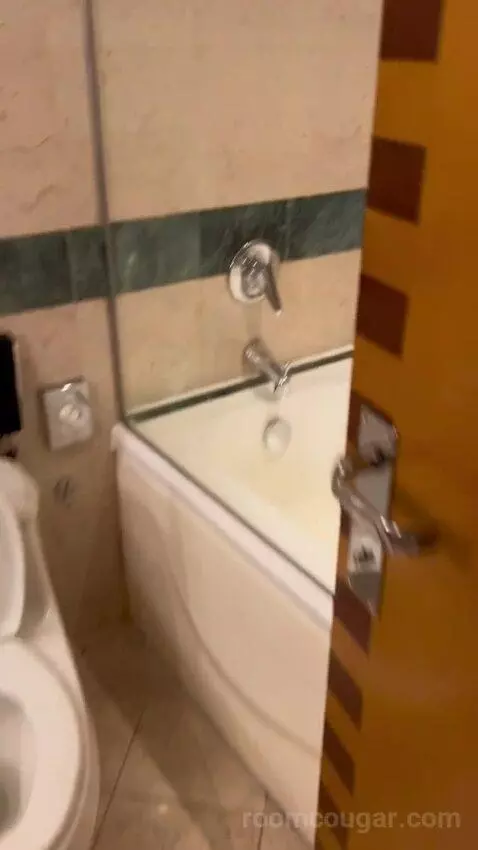 Deluxe Queen Room with Two Queen Beds (#366) bathroom picture #2