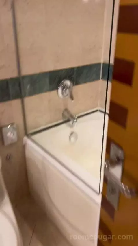 Deluxe Queen Room with Two Queen Beds (#366) bathroom picture #3