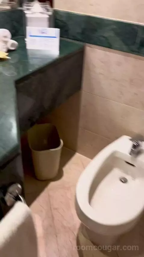 Deluxe Queen Room with Two Queen Beds (#366) bathroom picture #6
