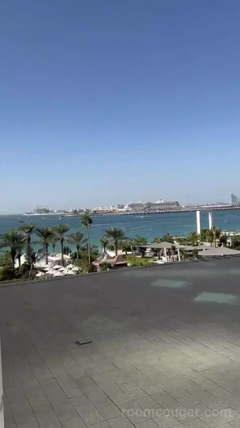Deluxe King Room with Partial Sea View (#231) view picture #9