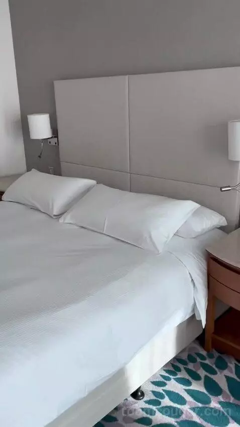 Deluxe King Room with Partial Sea View (#231) bed picture #5