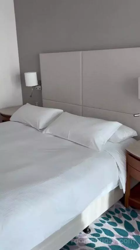 Deluxe King Room with Partial Sea View (#231) bed picture #8