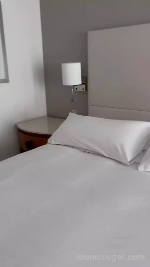 Deluxe King Room with Partial Sea View (#231) bed picture #12