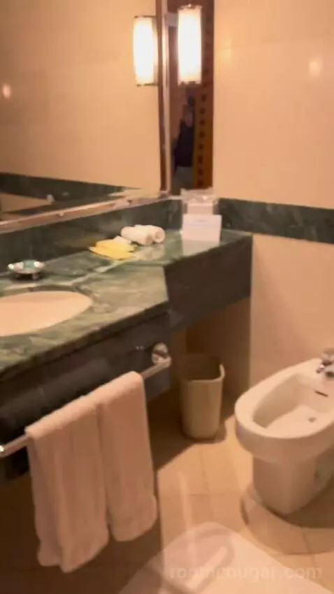Deluxe King Room with Partial Sea View (#231) bathroom picture #2
