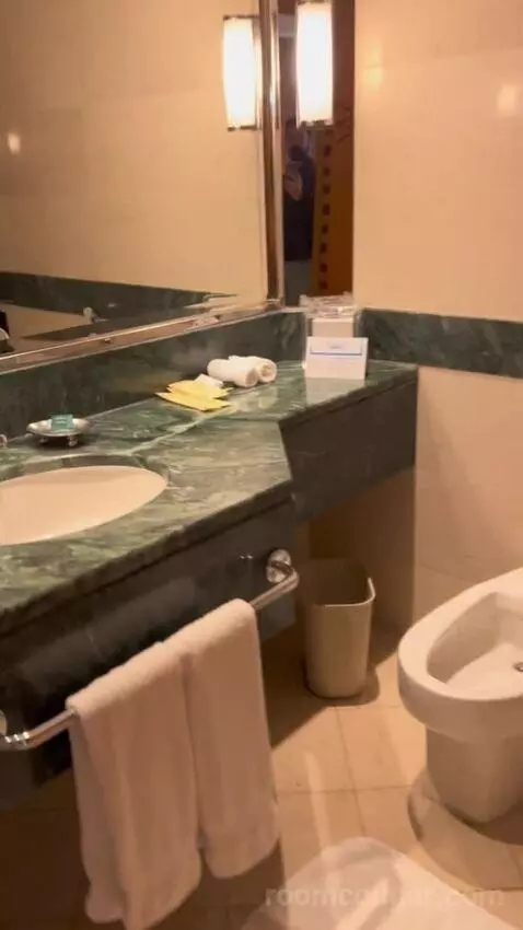 Deluxe King Room with Partial Sea View (#231) bathroom picture #3