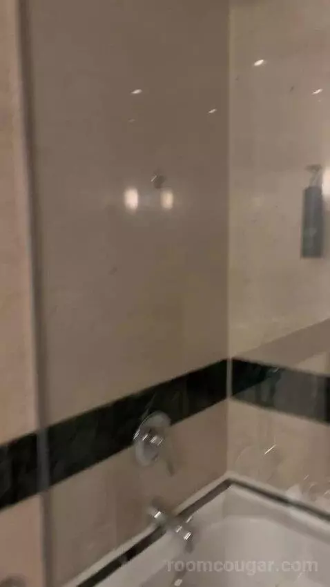Deluxe King Room with Partial Sea View (#231) bathroom picture #11