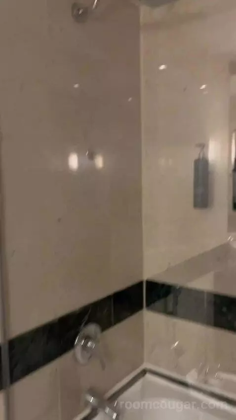 Deluxe King Room with Partial Sea View (#231) bathroom picture #12