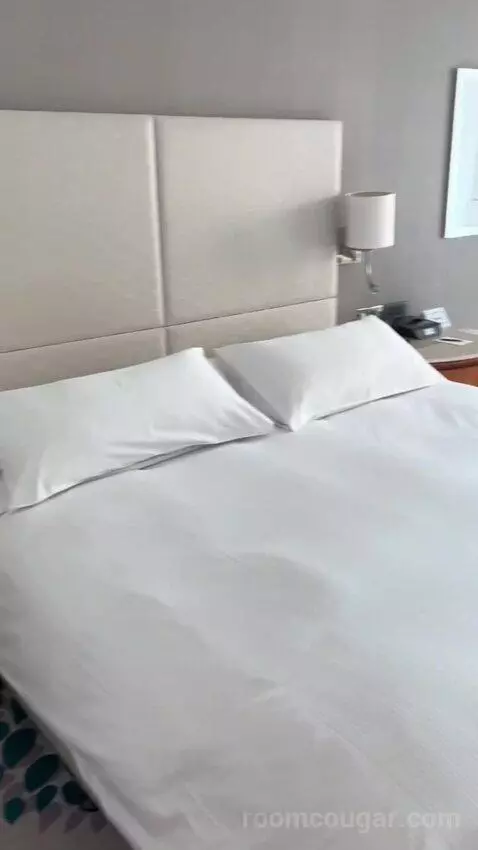 Deluxe King Room with Partial Sea View (#231) bed picture #3