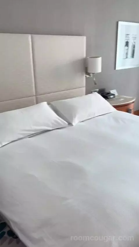 Deluxe King Room with Partial Sea View (#231) bed picture #4