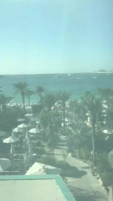 Executive King Room with Sea View (#101) view picture #9