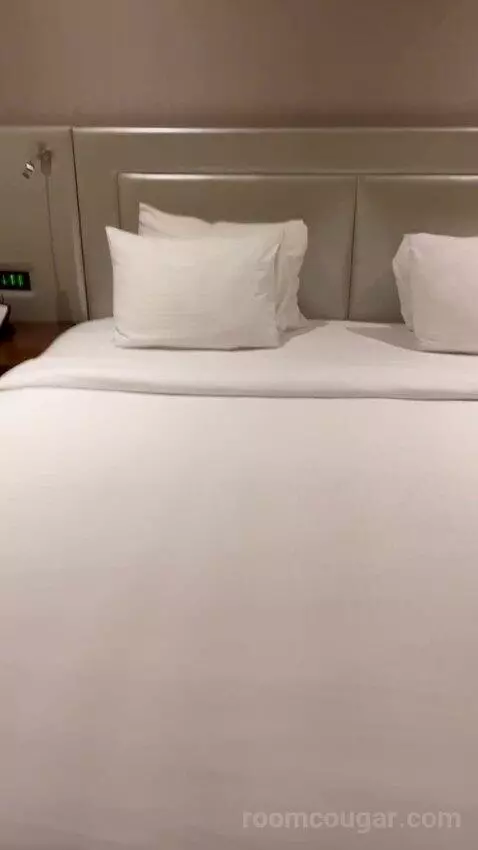 Premium King Room (#2804) bed picture #4