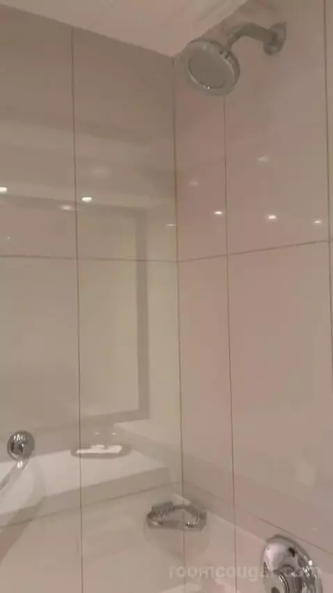 Deluxe Room (#1807) bathroom picture #8
