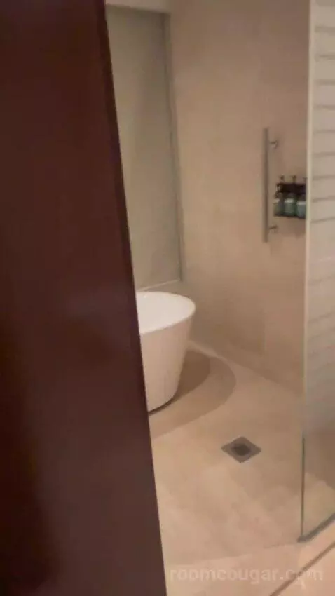 Deluxe King Room (#805) bathroom picture #1