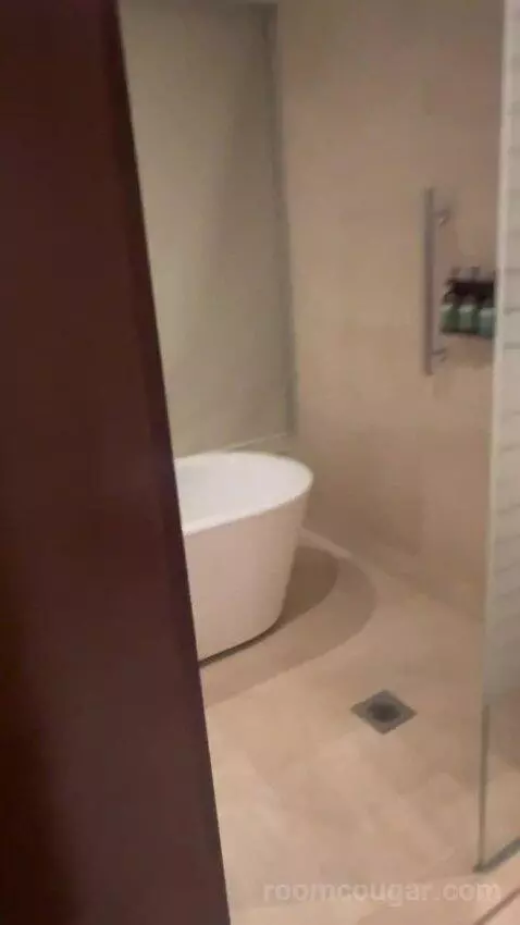 Deluxe King Room (#805) bathroom picture #2