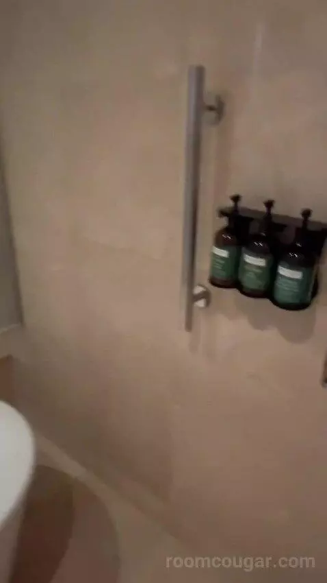 Deluxe King Room (#805) bathroom picture #5