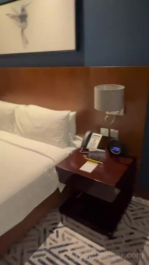 Deluxe King Room (#805) bed picture #8