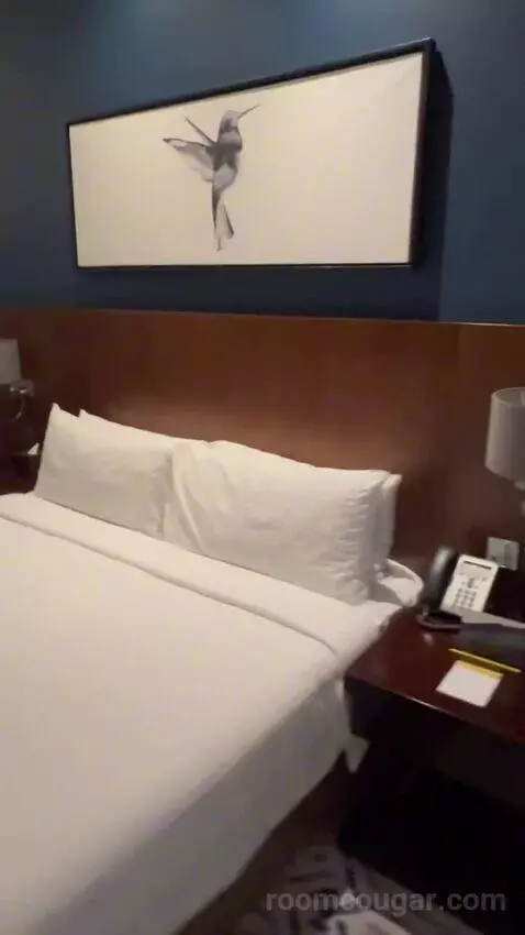 Deluxe King Room (#805) bed picture #9