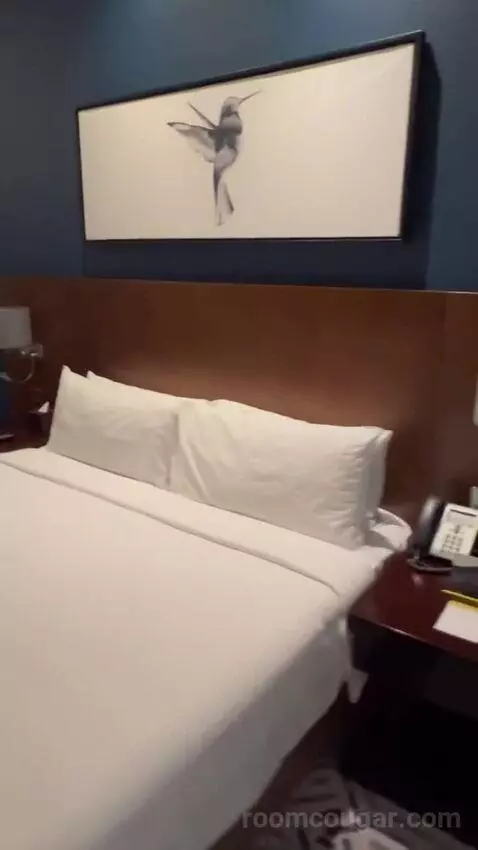 Deluxe King Room (#805) bed picture #10