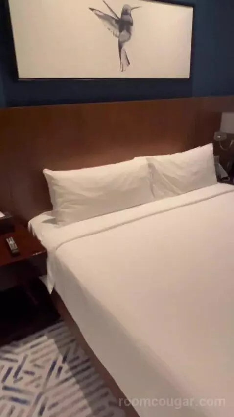 Deluxe King Room (#805) bed picture #2
