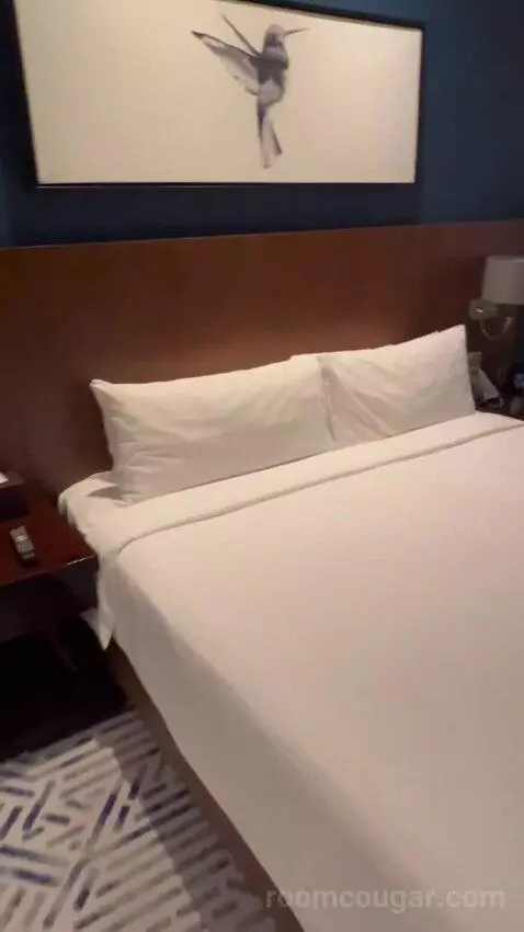 Deluxe King Room (#805) bed picture #3
