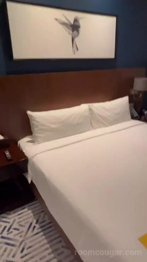 Deluxe King Room (#805) bed picture #4