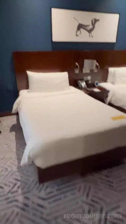 Deluxe Twin Room (#809) bed picture #1