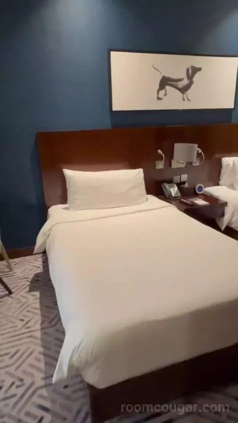 Deluxe Twin Room (#809) bed picture #4