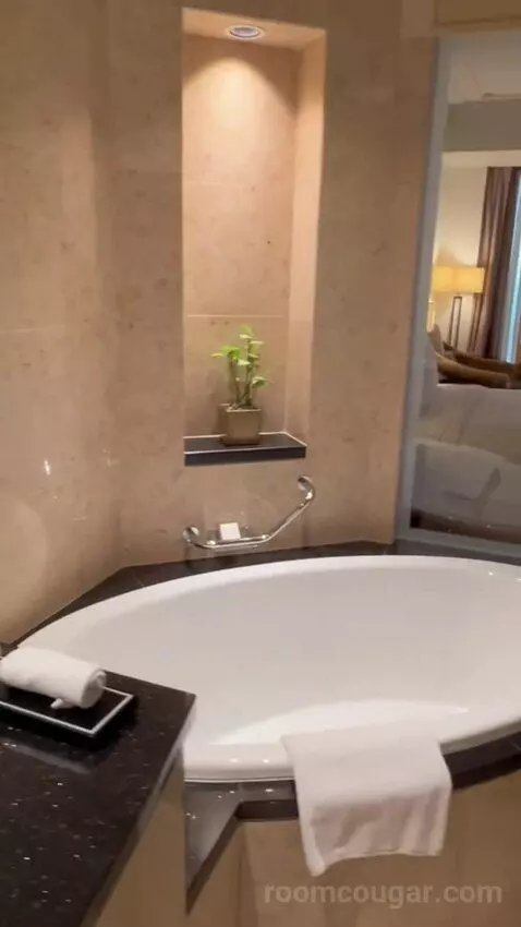 Deluxe King Room with Sea View (#3017) bathroom picture #7