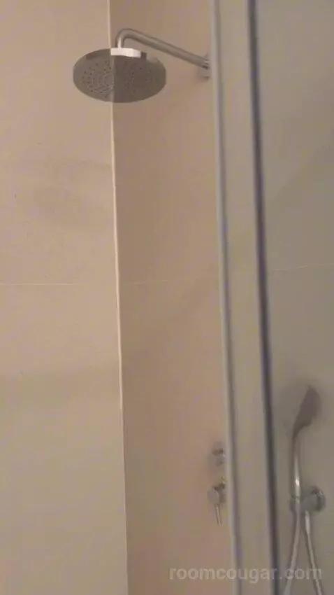 Standard Double Room (#107) bathroom picture #8