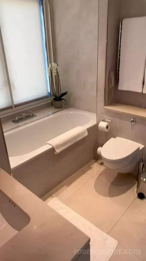 Deluxe Double Room (#418) bathroom picture #2