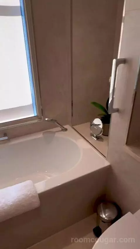 Studio Suite (#210) bathroom picture #7