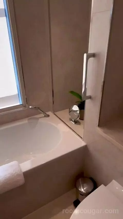 Studio Suite (#210) bathroom picture #8