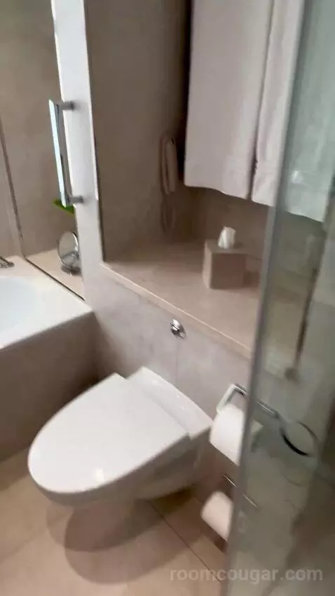 Studio Suite (#210) bathroom picture #10