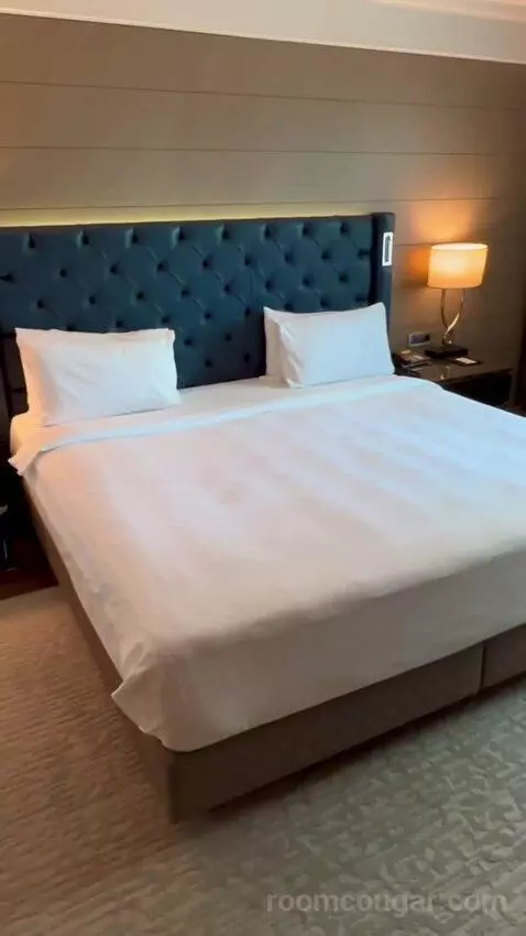 Junior Suite with City View - Lounge Access (#303) bed picture #8