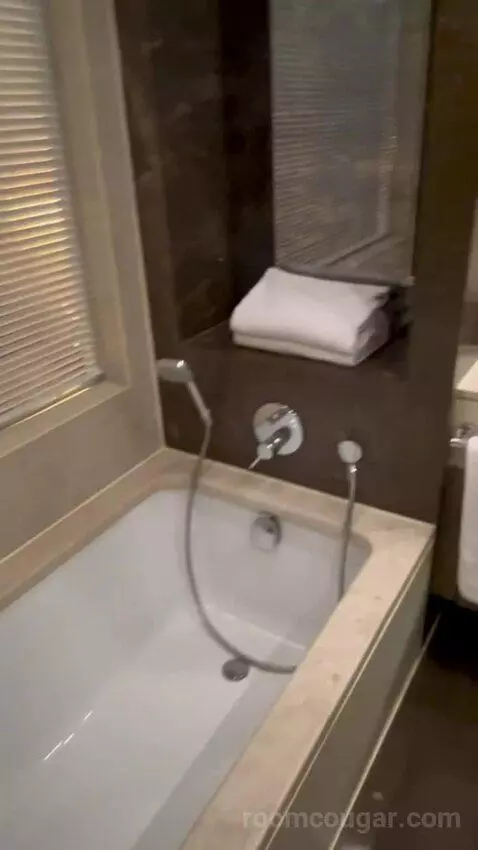 Standard Guest Room (#202) bathroom picture #1