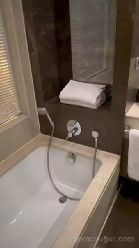 Standard Guest Room (#202) bathroom picture #2