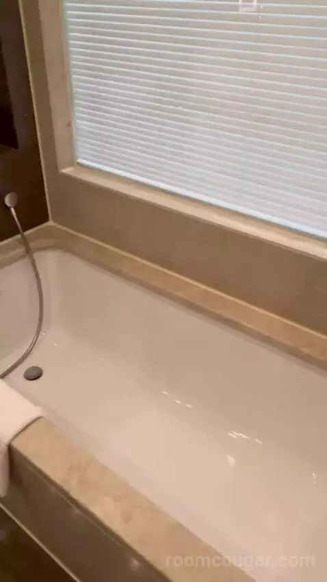 Premium Room with City View (#203) bathroom picture #2
