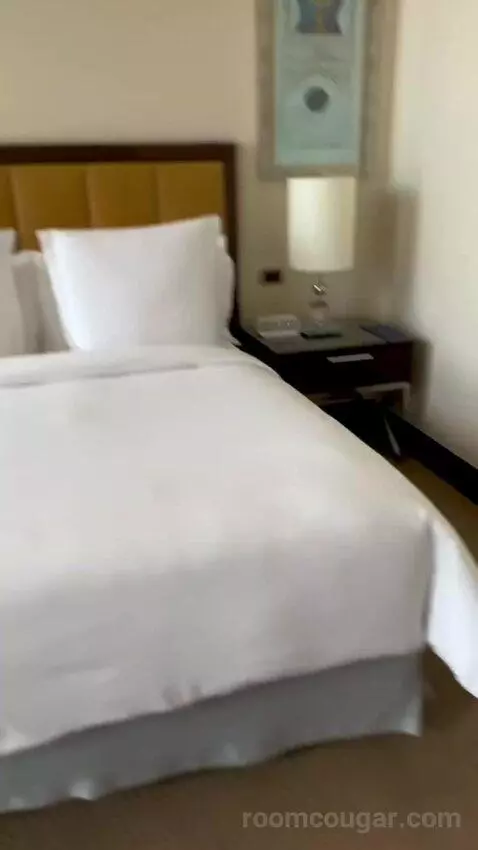Palace Bosphorus Room King Bed (#403) bed picture #1