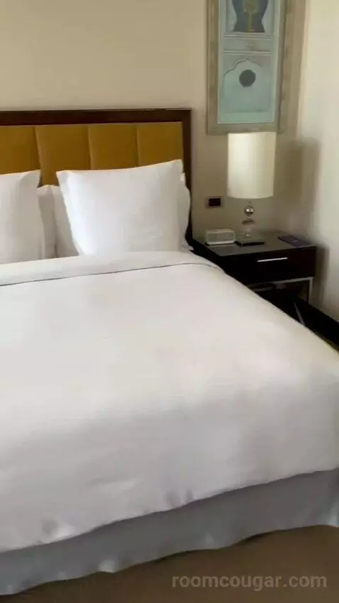 Palace Bosphorus Room King Bed (#403) bed picture #2