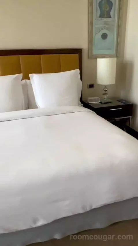 Palace Bosphorus Room King Bed (#403) bed picture #3