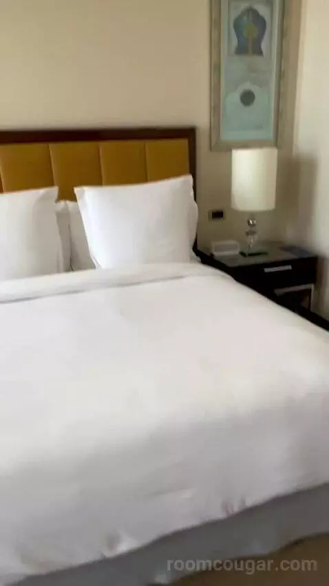 Palace Bosphorus Room King Bed (#403) bed picture #4