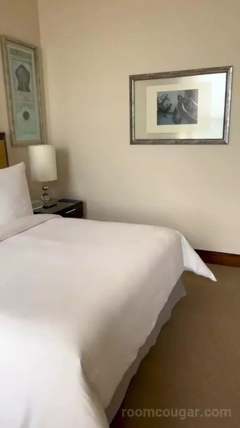 Palace Bosphorus Room King Bed (#403) bed picture #8