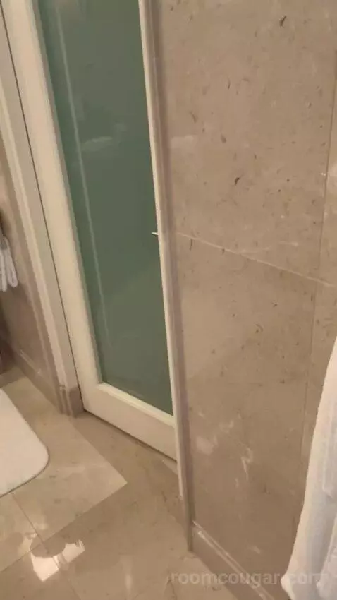 Palace Bosphorus Room King Bed (#403) bathroom picture #11