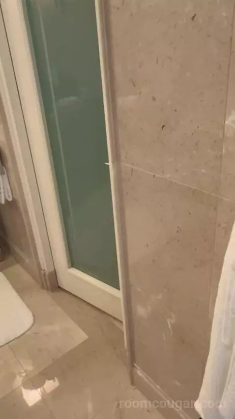 Palace Bosphorus Room King Bed (#403) bathroom picture #12