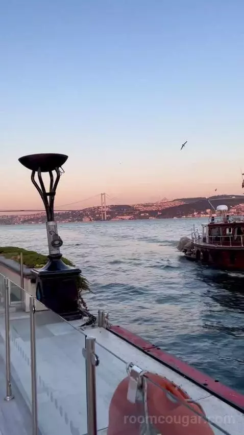 Palace Bosphorus Room King Bed (#403) view picture #10