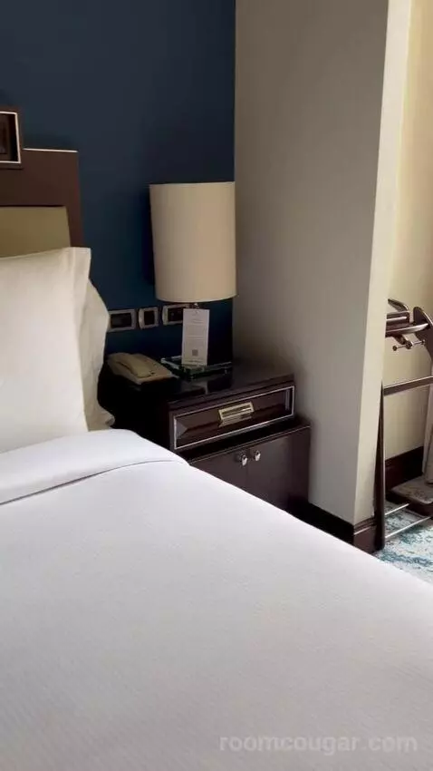 Bosphorus Palace Suite King Bed (#421) bed picture #1
