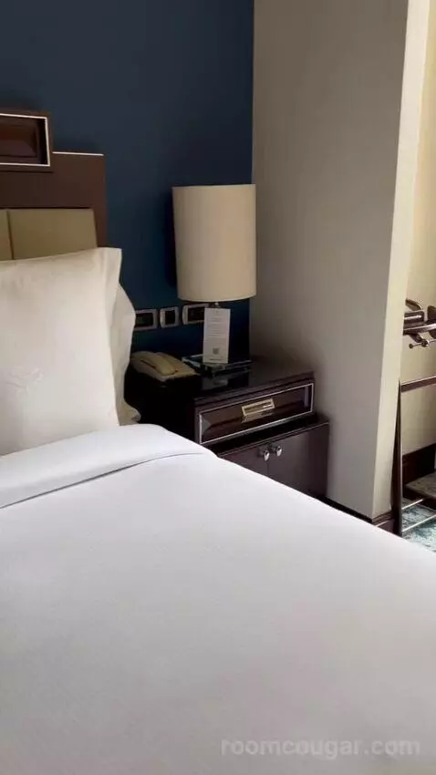 Bosphorus Palace Suite King Bed (#421) bed picture #2