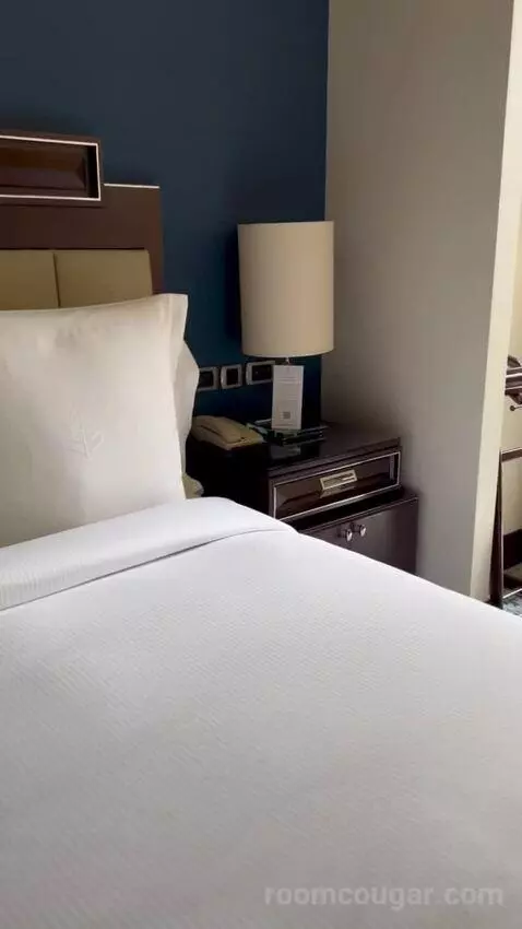 Bosphorus Palace Suite King Bed (#421) bed picture #3
