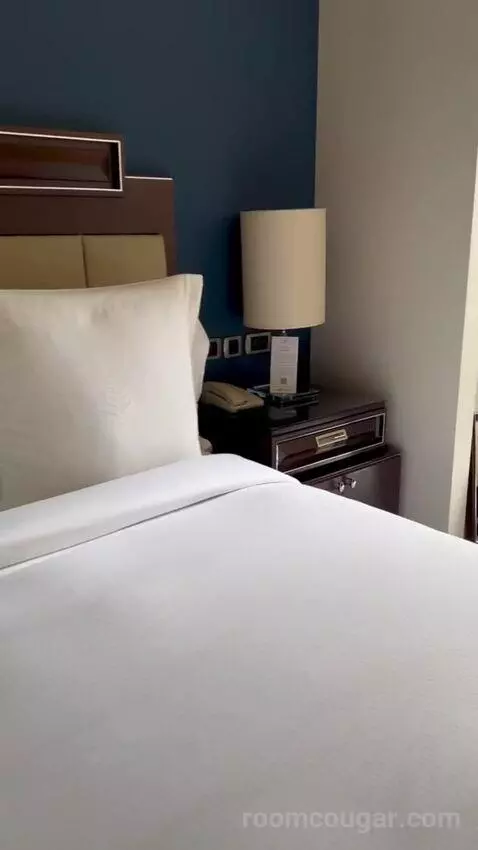 Bosphorus Palace Suite King Bed (#421) bed picture #4